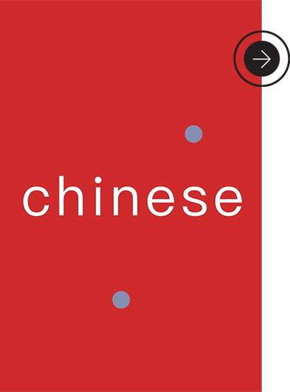 The Chinese Language Infographic